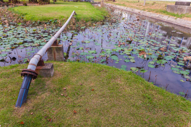 water pipe cross the lotus pond