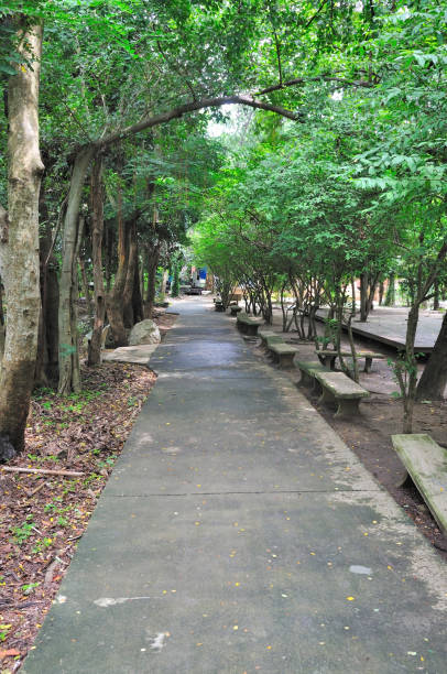 istock Walkway in public park in morning. 638160018