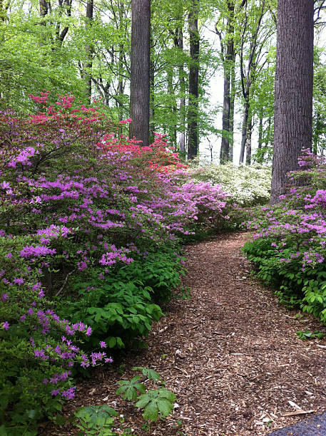 Taken at Winterthur, Delaware.