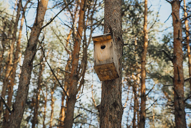 istock birdhouse in a tree in the winter forest 638163102