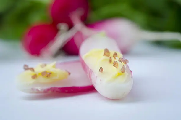 Detail of Radishes with Butter and Sea Salt - Stock photo