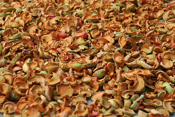 istock photo of dried apples 638163476