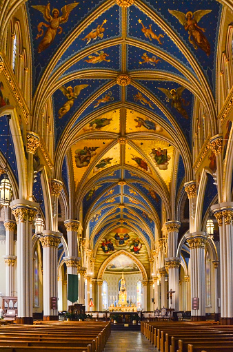 The Basilica of the Sacred Heart at the University of Notre Dame is the mother church for the Congregation of Holy Cross in the United States.