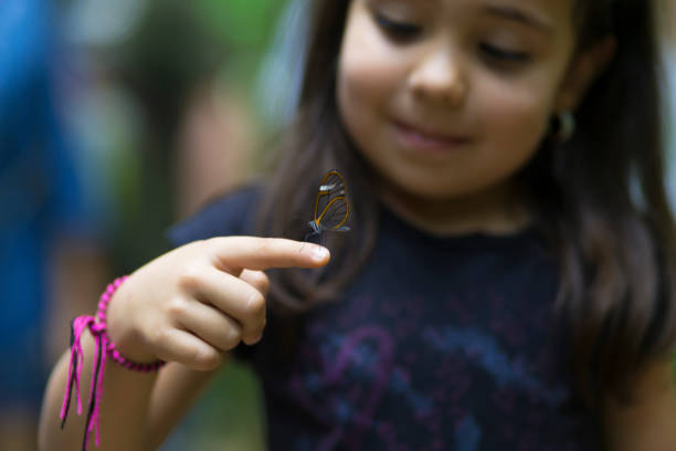istock Happy Girl Holding a Butterfly 638165294