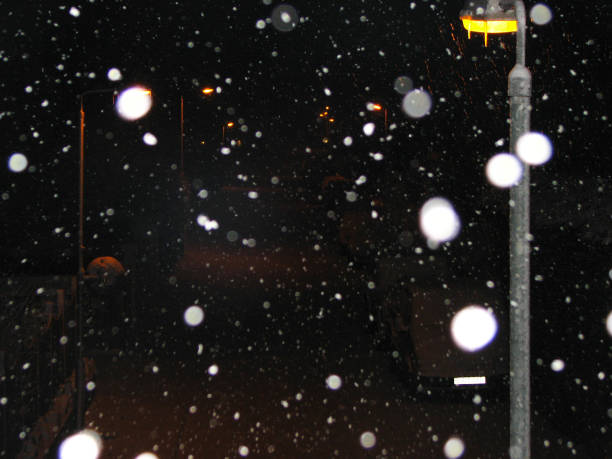 istock Street Light in the Snow 638167258