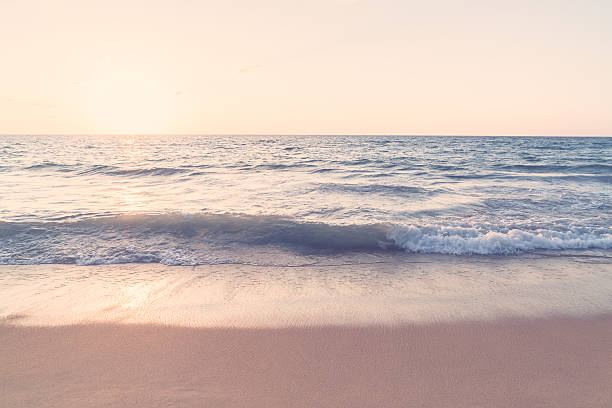 istock Beautiful sunset on the beach 638167428