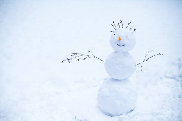 istock Smiling snowman standing in the snow 638169072