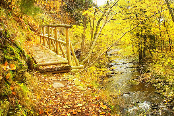 istock Autumnal Bezrucovo udoli valley 638170444