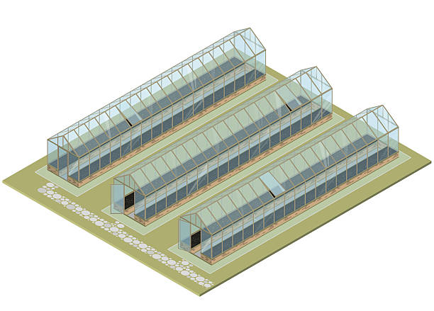 大量農場。ガラスの壁、基礎、切れガブル屋根と等角温室。 - greenhouse点のイラスト素材／クリップアート素材／マンガ素材／アイコン素材