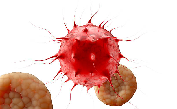 istock Virus. Bacteria.Viruses in infected organism , viral disease epidemic. 3d 638177844