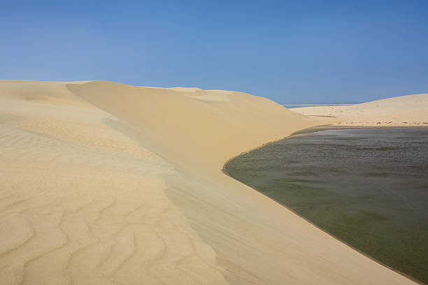 istock Seaside Desert Dunes near Doha Qatar 638181088