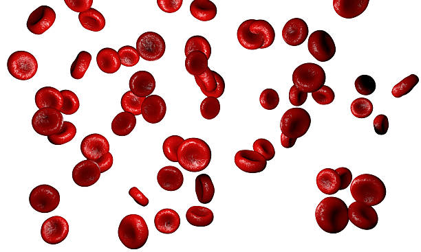 istock Erythrocyte, red blood cells, anatomy medical concept. 3d rendering 638181458