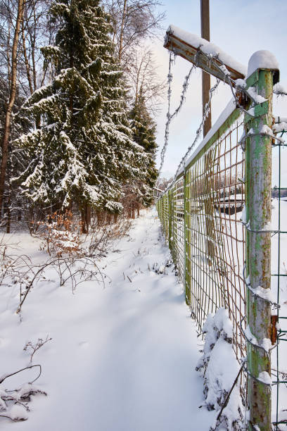 istock Secured zone. Fence with barbed wire. Winter forest landscape. 638183866