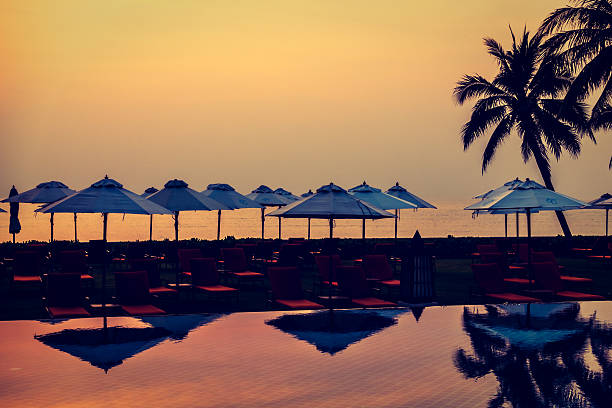 istock Silhouette palm tree on the swimming pool 638189822