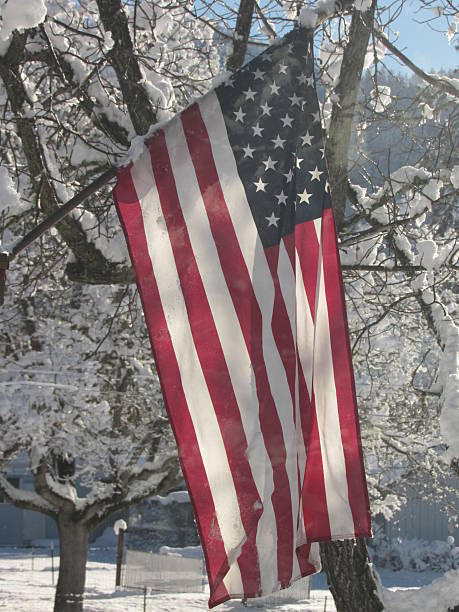 istock American Flag with snow landscape 638191856