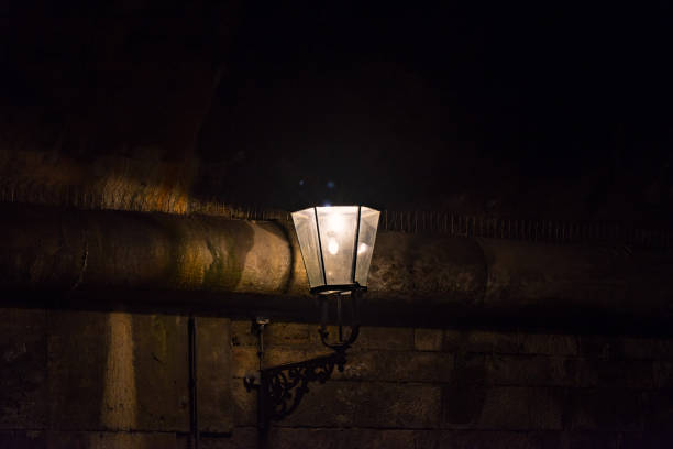 istock Street lamp in Dresden 638193506