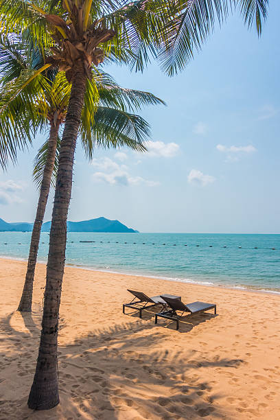 istock Beautiful beach and sea with palm tree 638194790