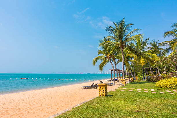 istock Beautiful beach and sea with palm tree 638194878