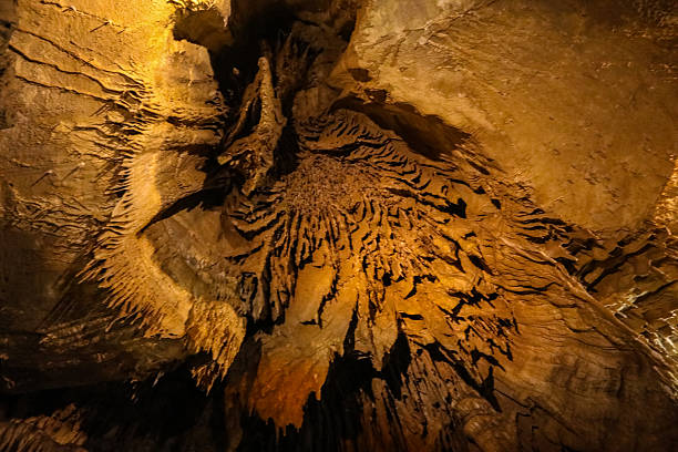 Stalactite close-up in cave: nature's intricate formations and geological beauty.