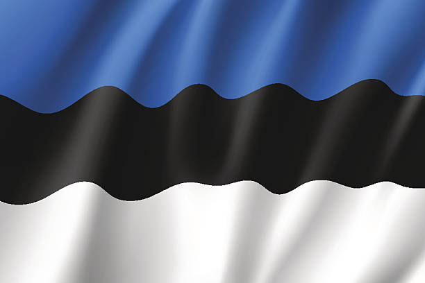 istock Waving flag of Estonia 638198048