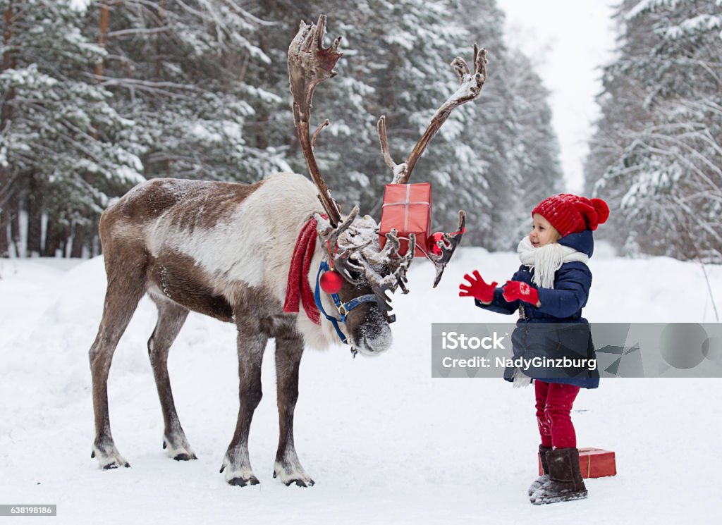 30/5000 Girl with a deer in winter forest Reindeer in a festive winter forest with a girl, dressed in a red cap Reindeer Stock Photo