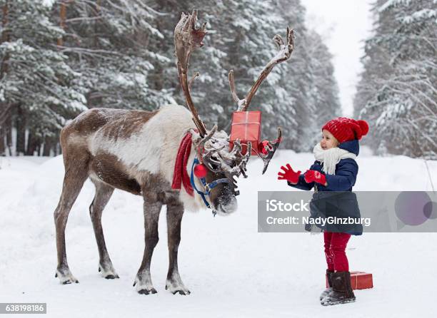 305000 Girl With A Deer In Winter Forest Stock Photo - Download Image Now - Reindeer, Christmas, Santa Claus