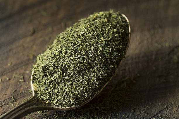 istock Raw Green Organic Dry Dill Weed 638198316