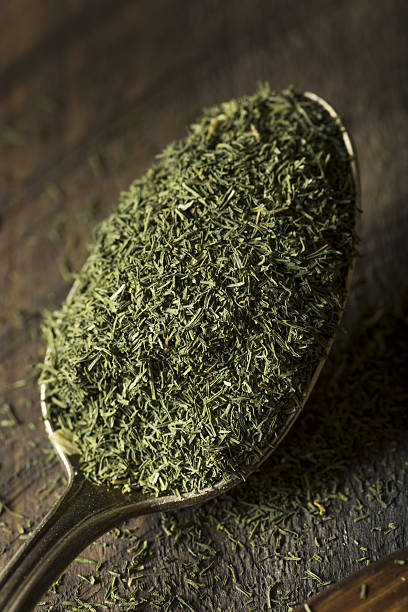 istock Raw Green Organic Dry Dill Weed 638198344