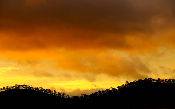 istock Dalat countryside in sunset with row of tree 638199074