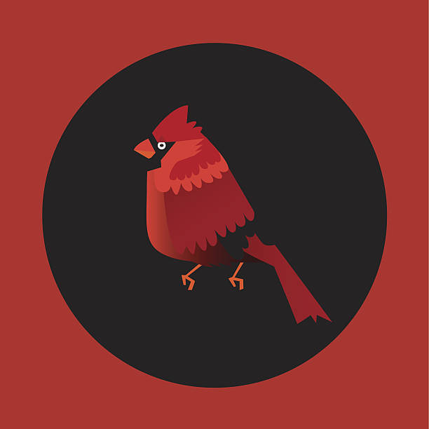 Vecteur cardinal d’oiseau - Illustration vectorielle