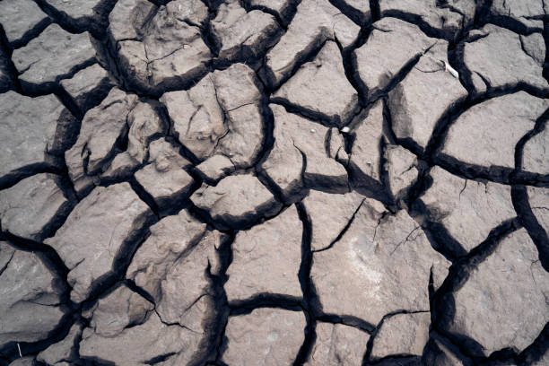 istock View of dried cracked mud 638201924