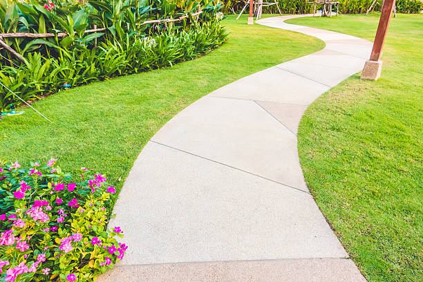 istock Wooden footpath to the garden 638201992