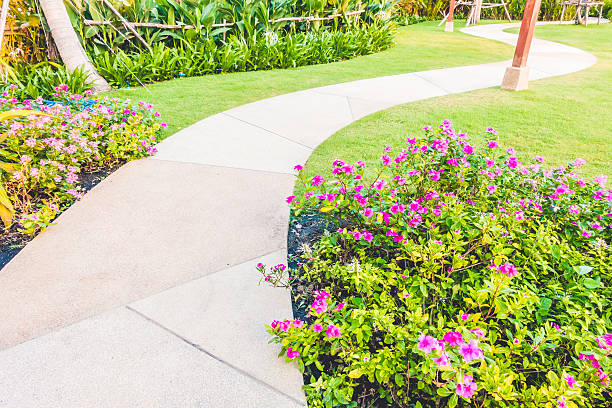 istock Wooden footpath to the garden 638202026