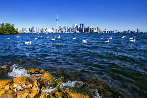 istock Toronto skyline in the morning, Canada 638202190