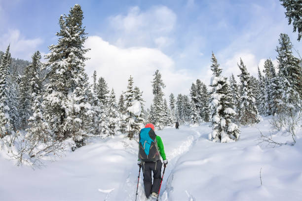 istock Girl backpacker walking on a forest road in winter forest 638203178