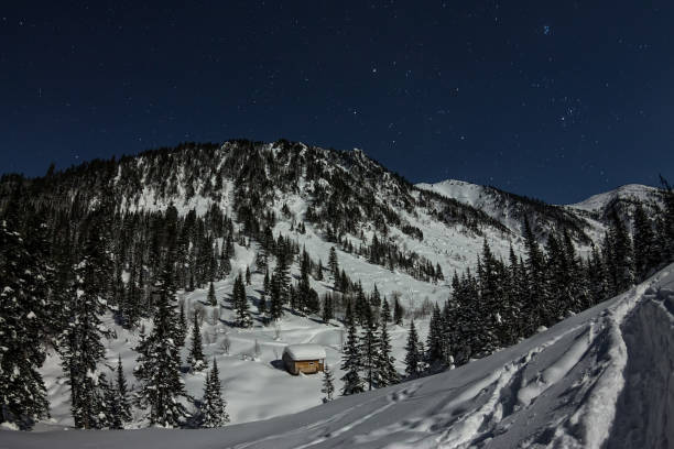 istock house chalets in winter forest with snow in light moon 638203292