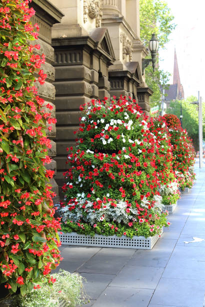 istock Melbourne Street in summer time 638204382