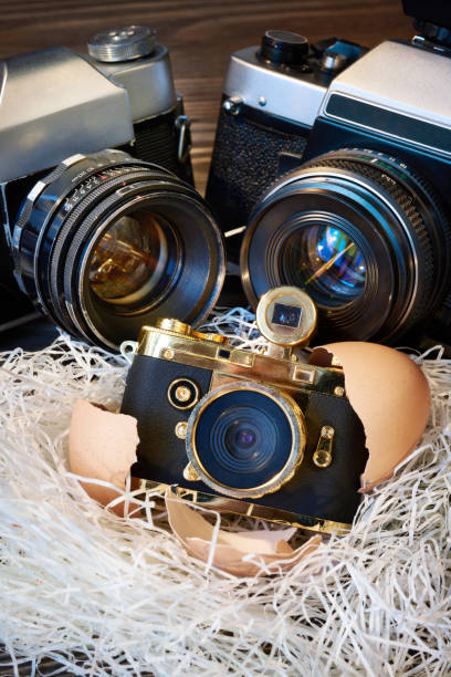 Concept SLR cameras and small compact as parents and baby