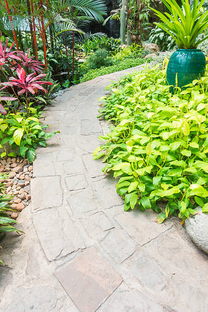 istock Wooden footpath to the garden 638205830