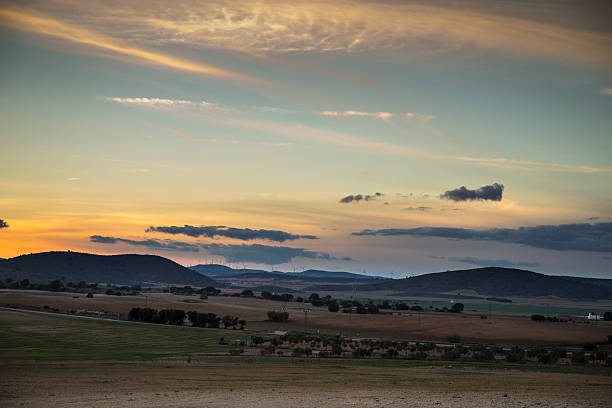 Albacete Farmland at Sunset