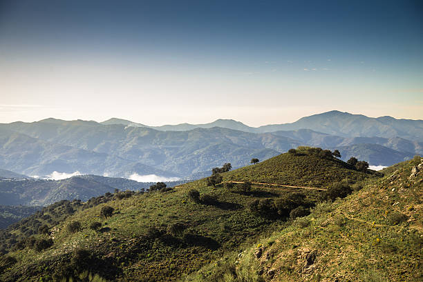 Fog in Mountain Valleys in Anadalucia Morning fog in the bottom of a steep valley in the Sierra de Grazalema near the village of Atajate in Southern Spain. grazalema stock pictures, royalty-free photos & images