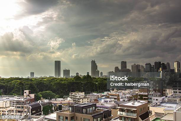 Shinjuku Towers In The Distance Stock Photo - Download Image Now - Cityscape, Harajuku District, Asia