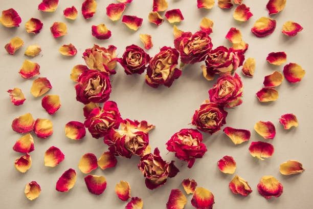 tarjeta de san valentín. símbolo del corazón de rosas secas. entonado. concepto. - rose pattern yellow dried plant fotografías e imágenes de stock