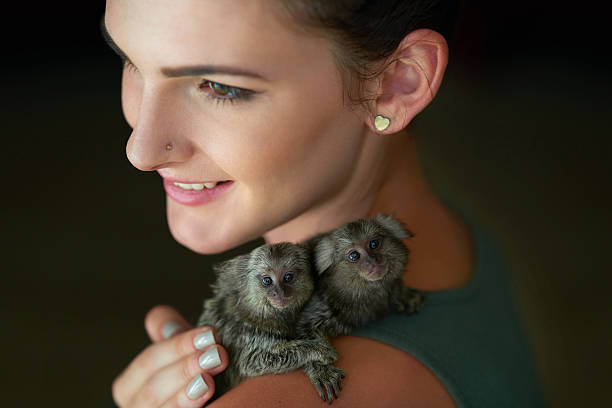 Propped up on mommy's shoulder Cropped shot of an attractive young woman posing with two pigmy marmosets pygmy marmoset stock pictures, royalty-free photos & images