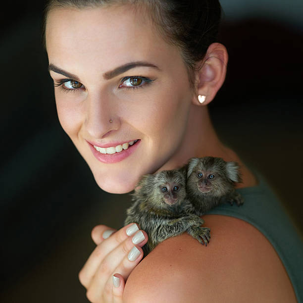 They're my little fur babies Cropped portrait of an attractive young woman posing with two pigmy marmosets pygmy marmoset stock pictures, royalty-free photos & images