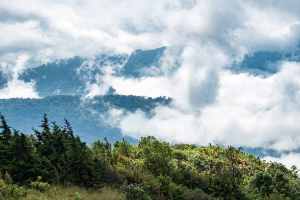 istock Peak green mountain white fog cloud scenic 638216692