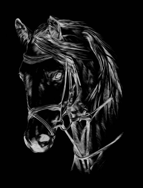 istock Freehand horse head pencil drawing negative black 638219498