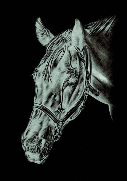 istock Freehand horse head pencil drawing negative black 638219624