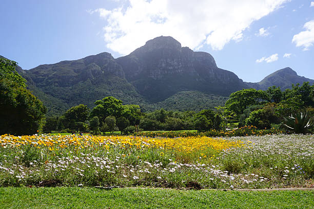 istock Beautiful flower bed landscape 638222476