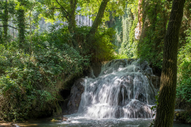 istock Scenic waterfall surrounded by the green forest 638228480